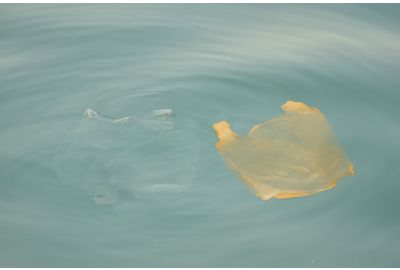 Comparison between tinted and clear plastic in water
