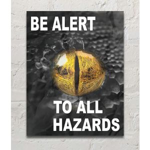 FME Posters-FME-PSTR-BEALERT