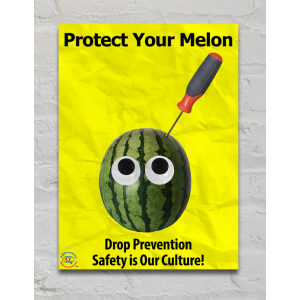 FME Posters-FME-PSTR-DP-PYM-S