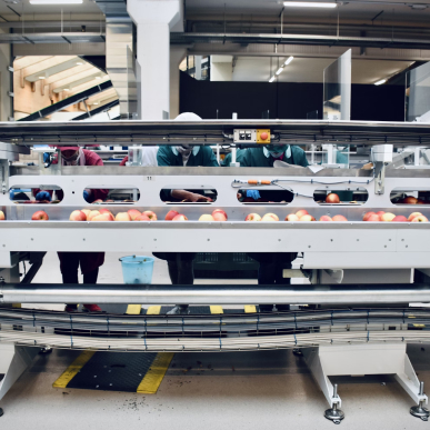 Food Manufacturing & Processing